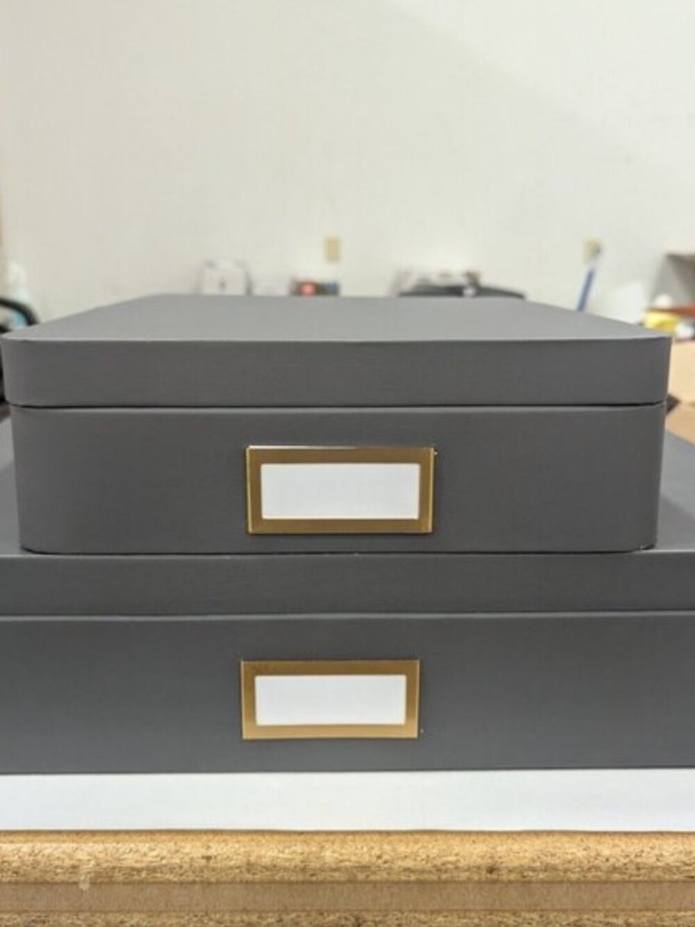 Project 62 2-Pack Gray Storage Boxes with Gold Label Holders